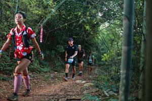 BIB: 
                            <button type="button" onclick="openModal(28023946)" class="btn btn-primary btn-sm float-right btn-popup" data-toggle="modal" data-target=".modal-high-quality">
                        <i class="fas fa-shopping-cart"></i> Add to Cart
                    </button>
                                            <button type="button" onclick="isThisMe(28023946, true)" class="btn btn-success btn-sm float-right btn-popup btn-isme hidden" data-toggle="tooltip" data-placement="bottom" title="นี่คือรูปของคุณใช่ไหม คลิกที่นี่เพื่อเอาเข้าอัลบั้ม">
                        <i class="fas fa-plus"></i> Add to album
                    </button>
                    <button type="button" onclick="isThisMe(28023946, false)" class="btn btn-warning btn-sm float-right btn-popup btn-isnotme hidden">
                        <i class="fas fa-ban"></i> Remove from album
                    </button>